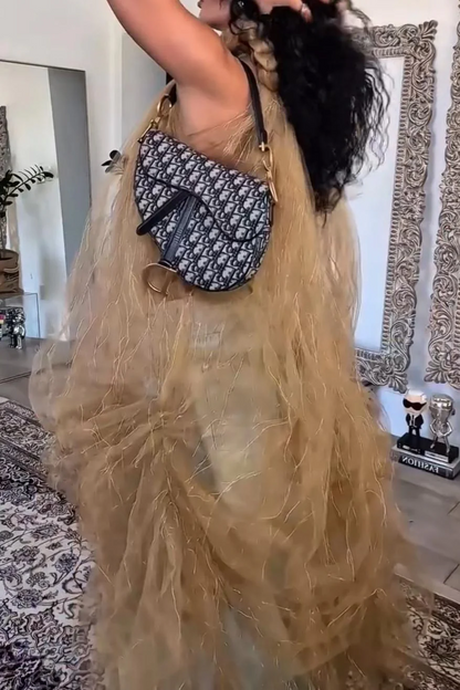 Sheer Tulle Dress