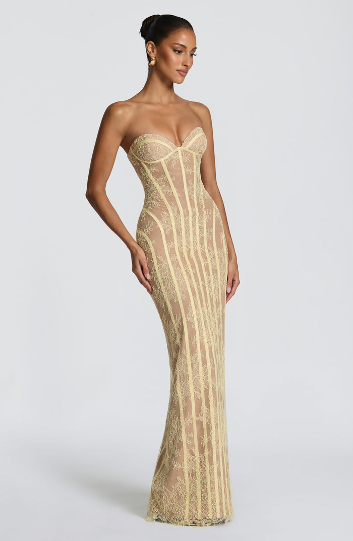 Sheer Mesh Sleeveless Dress