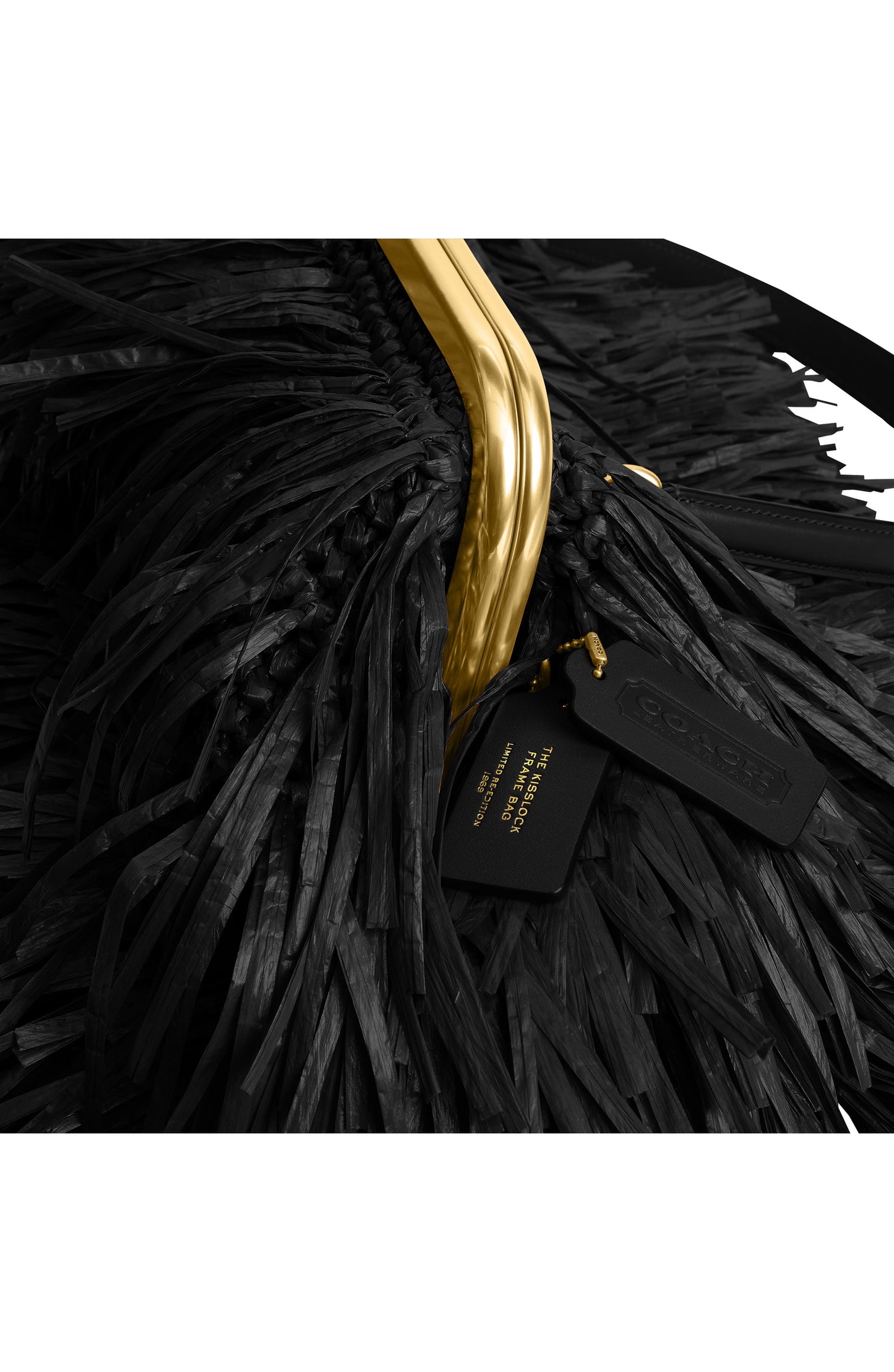 Kisslock Fringe Straw Frame Bag